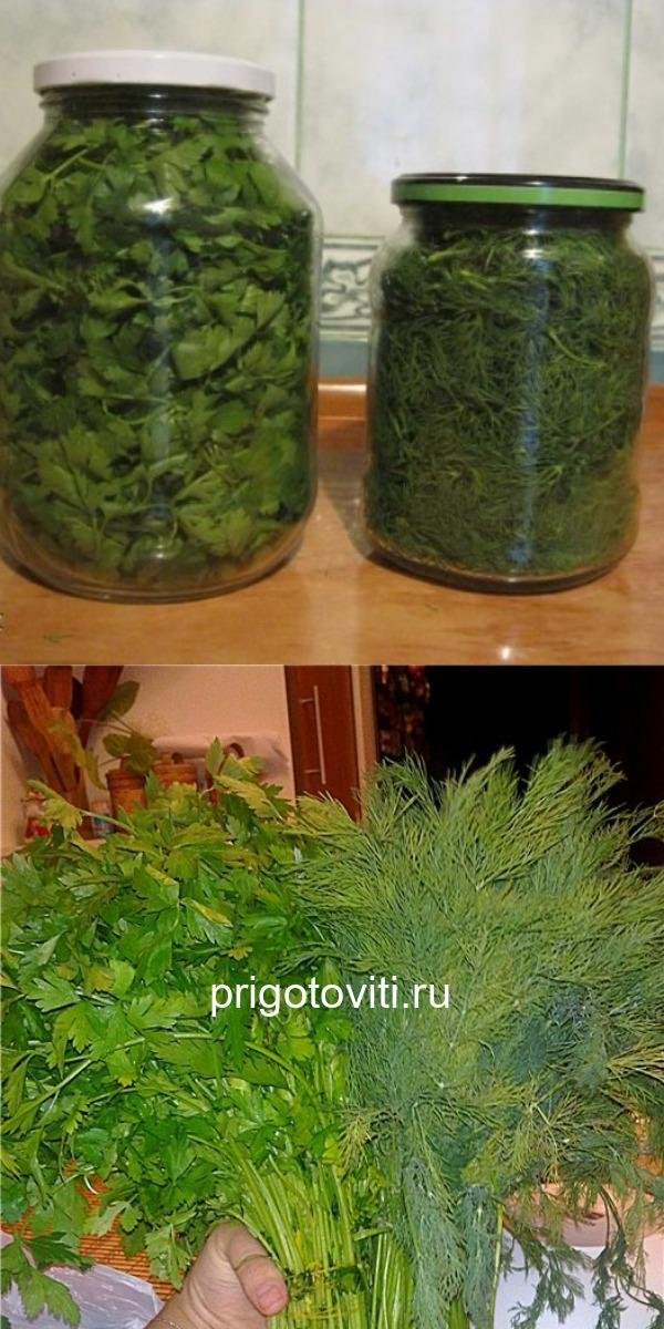 КАК Я СОХРАНЯЮ ЗЕЛЕНЬ (УКРОП, ПЕТРУШКУ) СВЕЖЕЙ