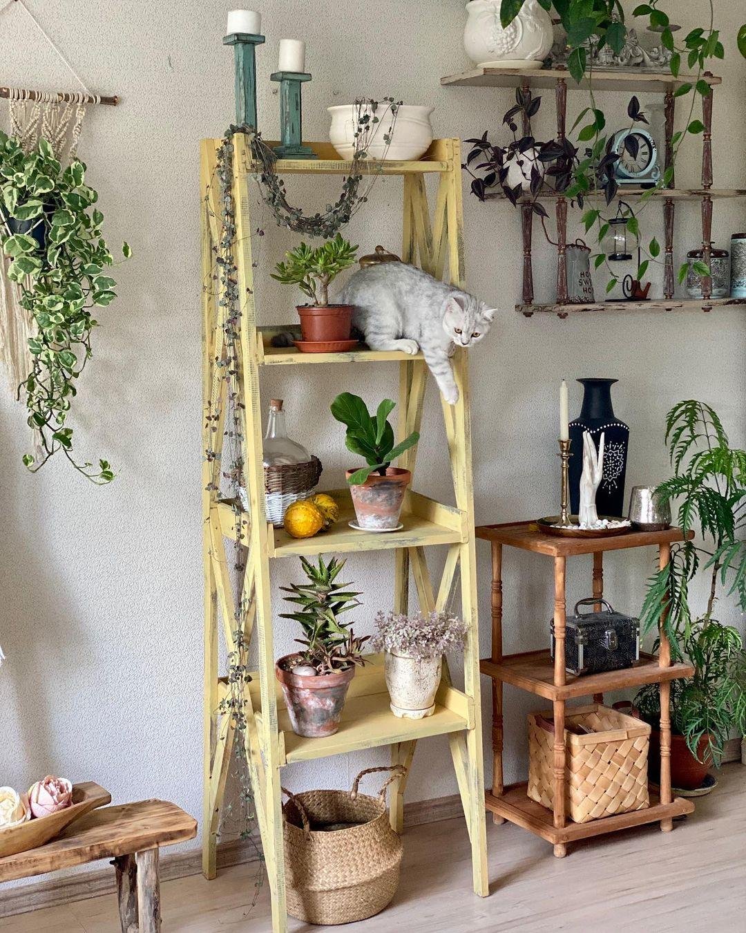 По вине каких растений деньги утекают из дома рекой