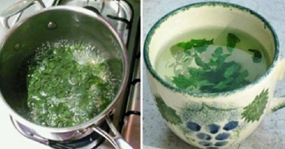 Чудо растение для женщин: балансирует гормоны, снижает вес, избавляет от диабета, запоров, остеопороза и не только