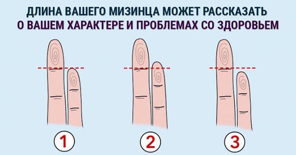О ЧЕМ МОЖЕТ РАССКАЗАТЬ ДЛИНА ВАШЕГО МИЗИНЦА
