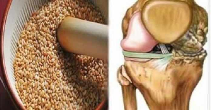 Смесь этих семян — самое мощное и эффективное средство от боли в коленях и суставах!