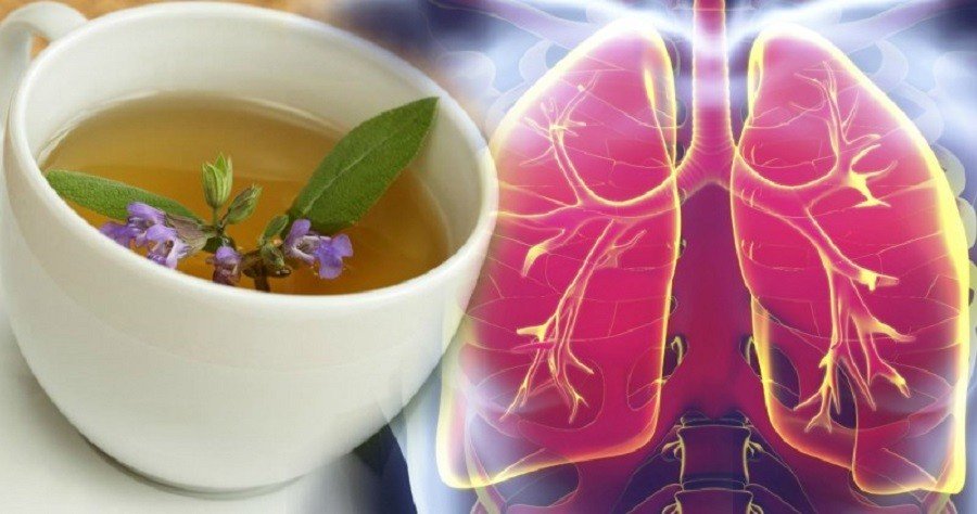 Эффективные натуральные средства от воспаления легких, всем на заметку, чтобы не потерять