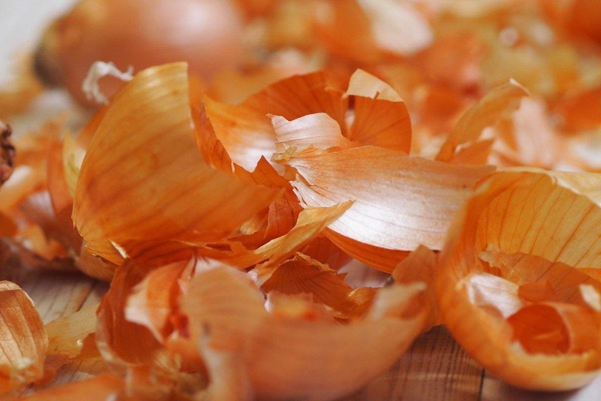 Почему необходимо собирать шелуху от лука