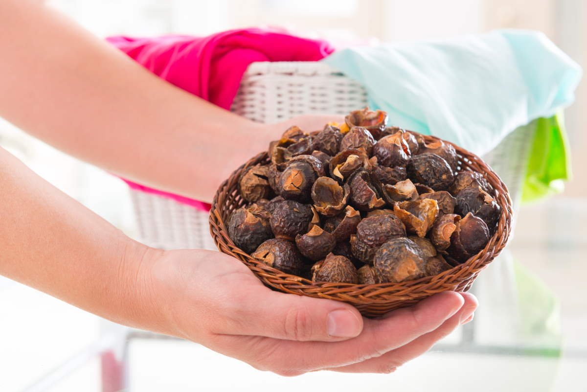 Если в доме нет мыльных орехов, к горе стирки даже не подхожу