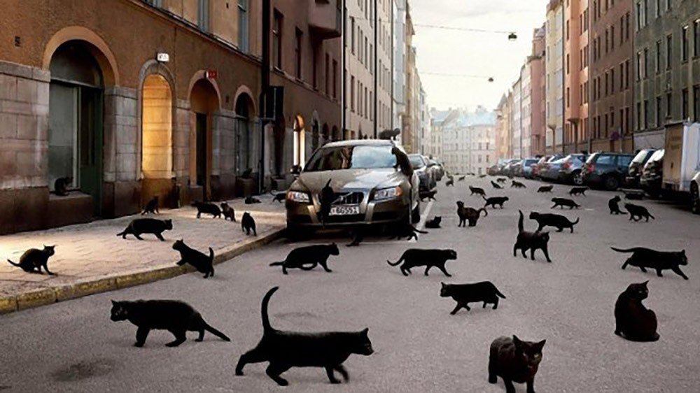 10 уличных находок, которые принесут счастье и удачу. Всегда обходила стороной, а тут