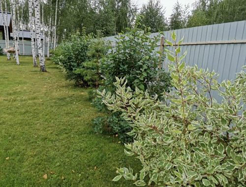 Забор вокруг дома должен быть глухой, и дело не в безопасности