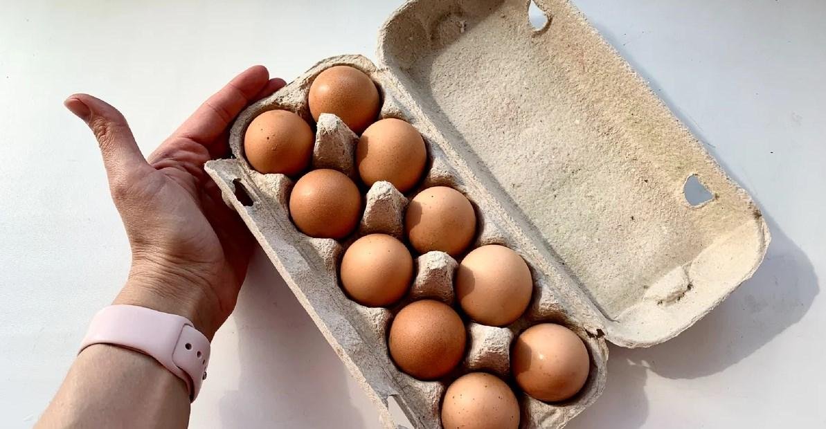 Всегда покупаю коричневые яйца, а не белые и только категории С2. Делюсь советом с вами
