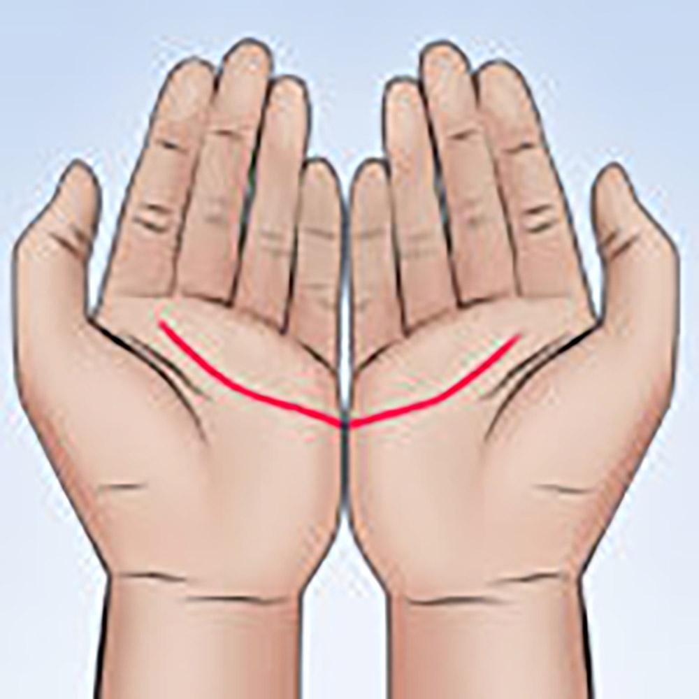 Ваше будущее записано на этих линиях любви