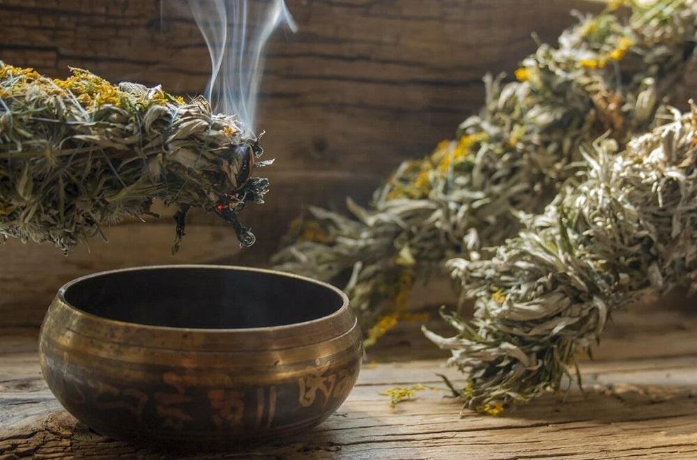 Какие растения лучше всего защищают от порчи и сглаза