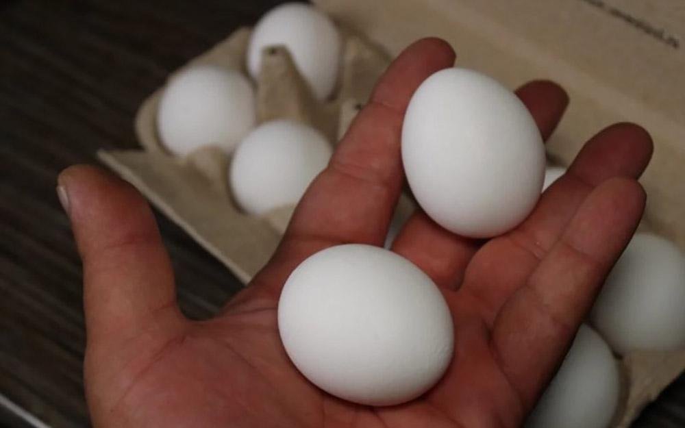 Как сделать яйцо, которого боятся муравьи и тараканы